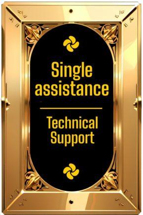Technical support (single assistance)